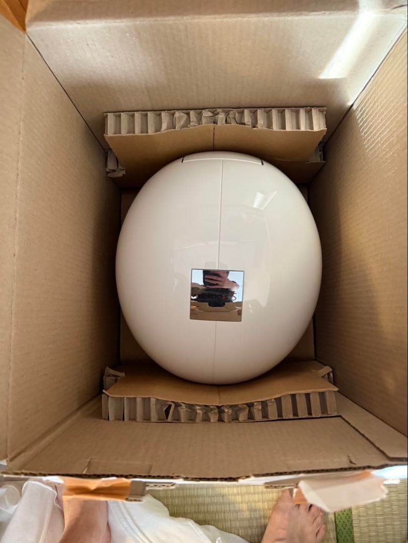 家庭用 エンダモロジー wellbox S ウェルボックス 美容機器