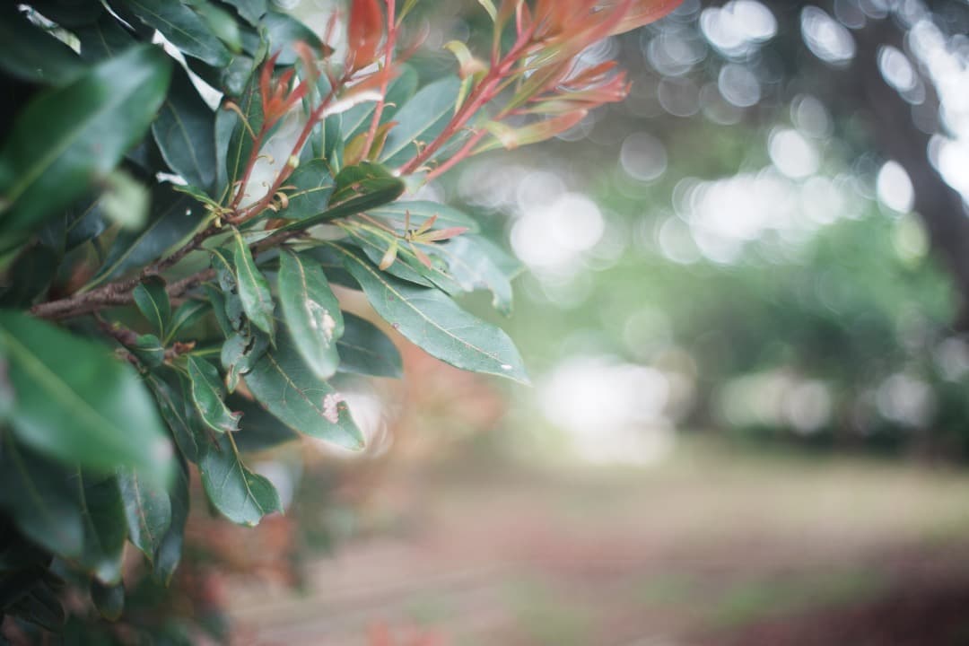 【極美品】 動作◎ Super Takumar 35mm F2 777