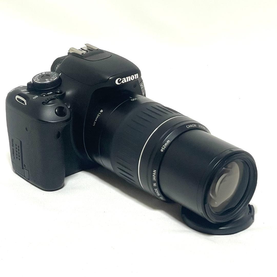 バリアングル液晶❣️ Canon EOS Kiss X5 ダブルレンズキット