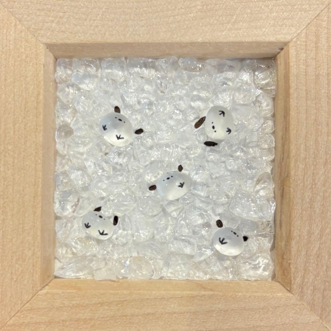 特別価格！　のーんびり　。　シーグラスアート