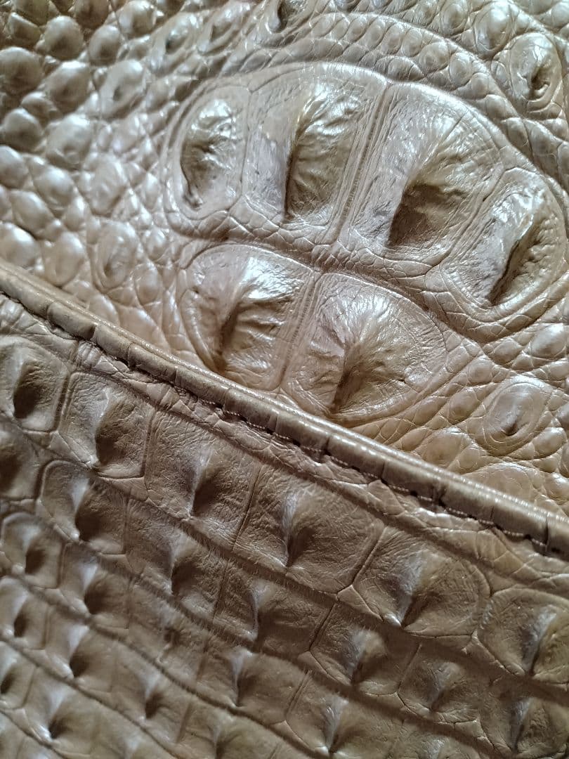 クロコダイル　ハンドバック　肩掛け　希少