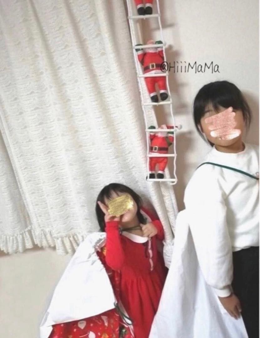 限定SALE ⭕️クリスマス シンプル ツリー はしご サンタクロース Xmas