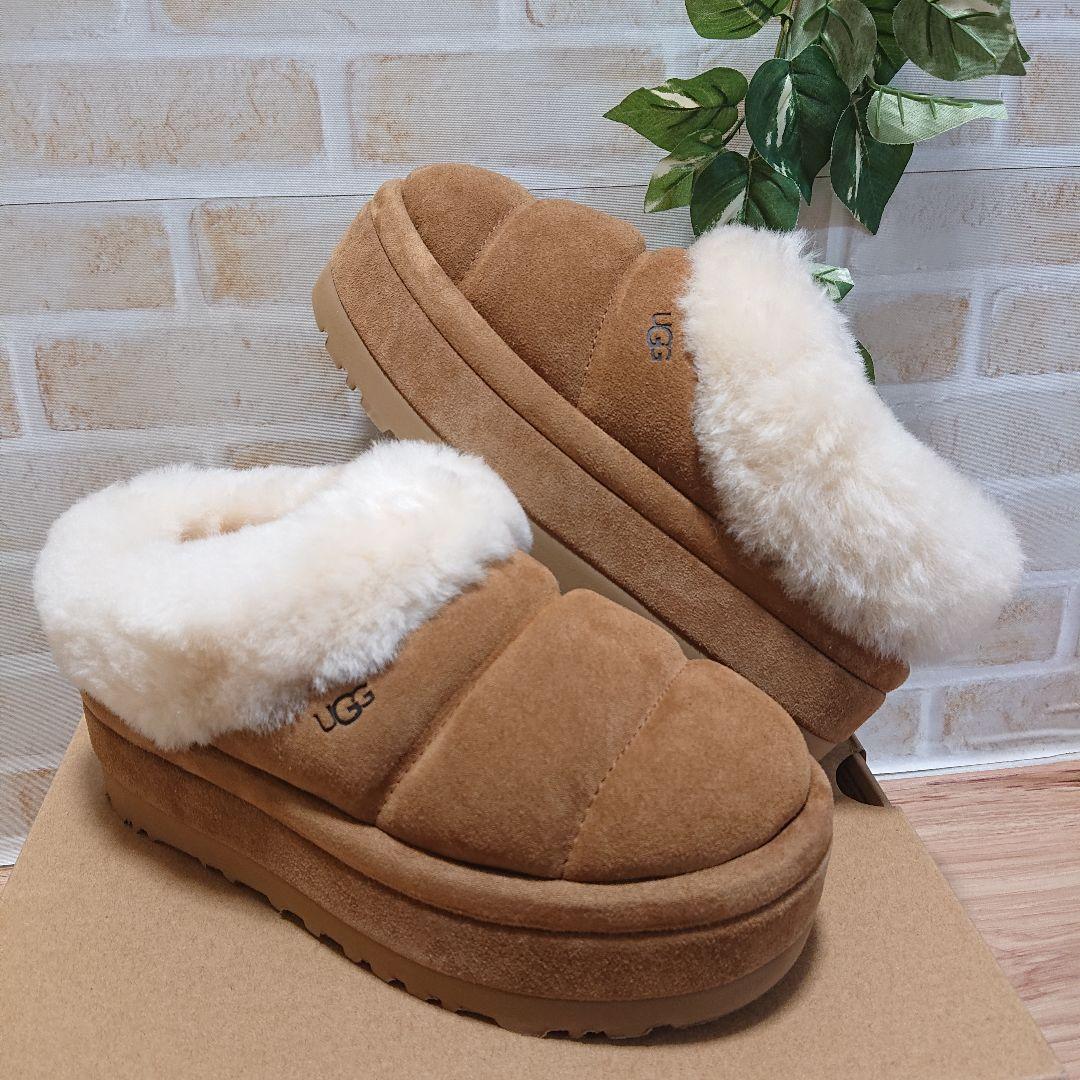 UGG アグ　Tazzlita　タズリータ チェスナット 22cm 厚底 新品