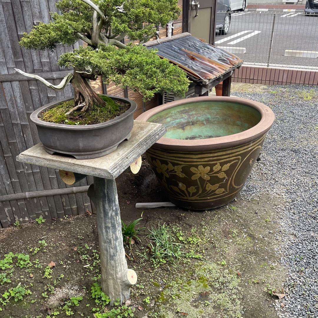 水鉢 睡蓮鉢 超大型 花模様