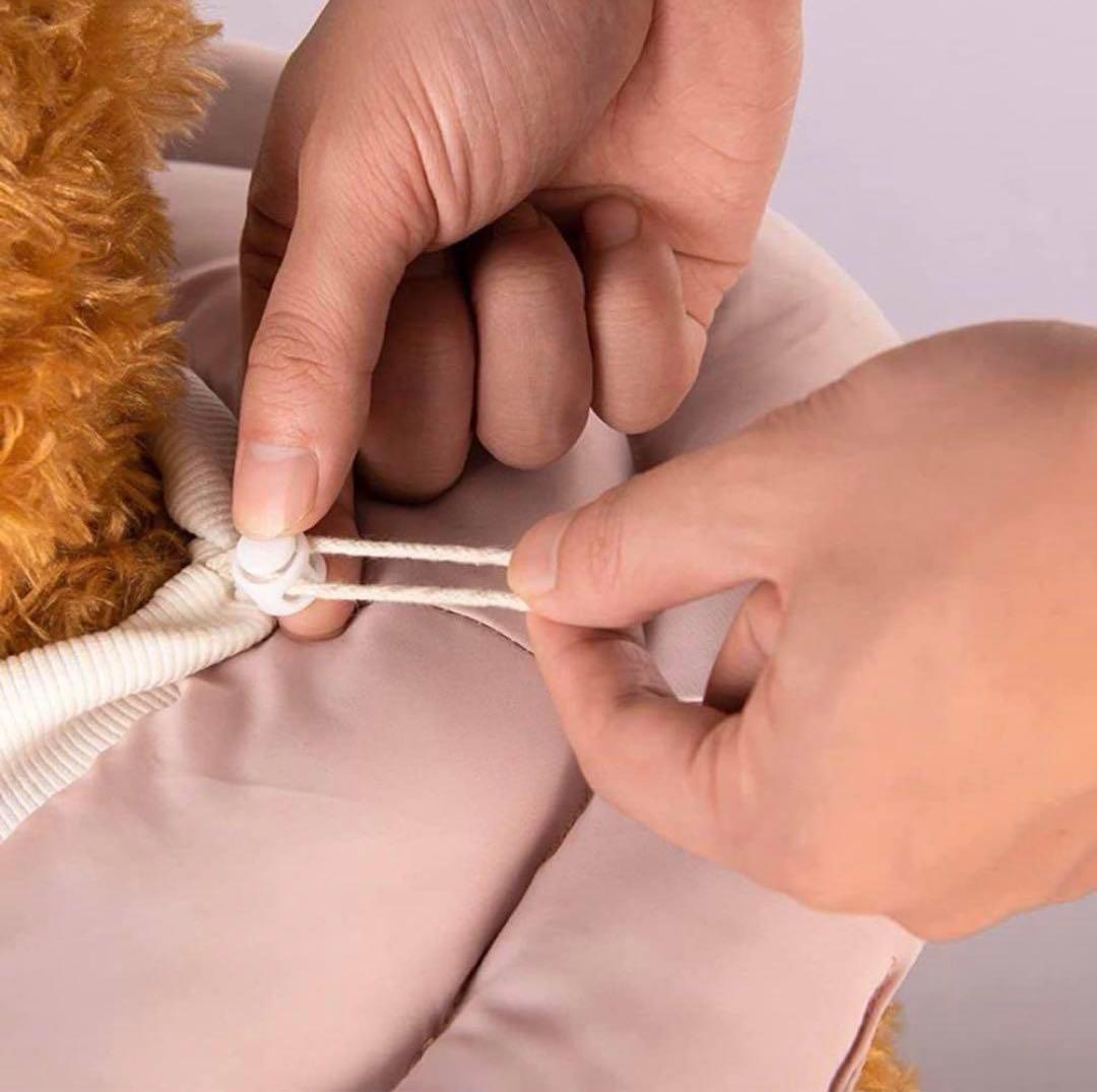 エリザベスカラー 犬猫のためのペット保護首輪 猫の傷の治癒保護 ペットS ブルー