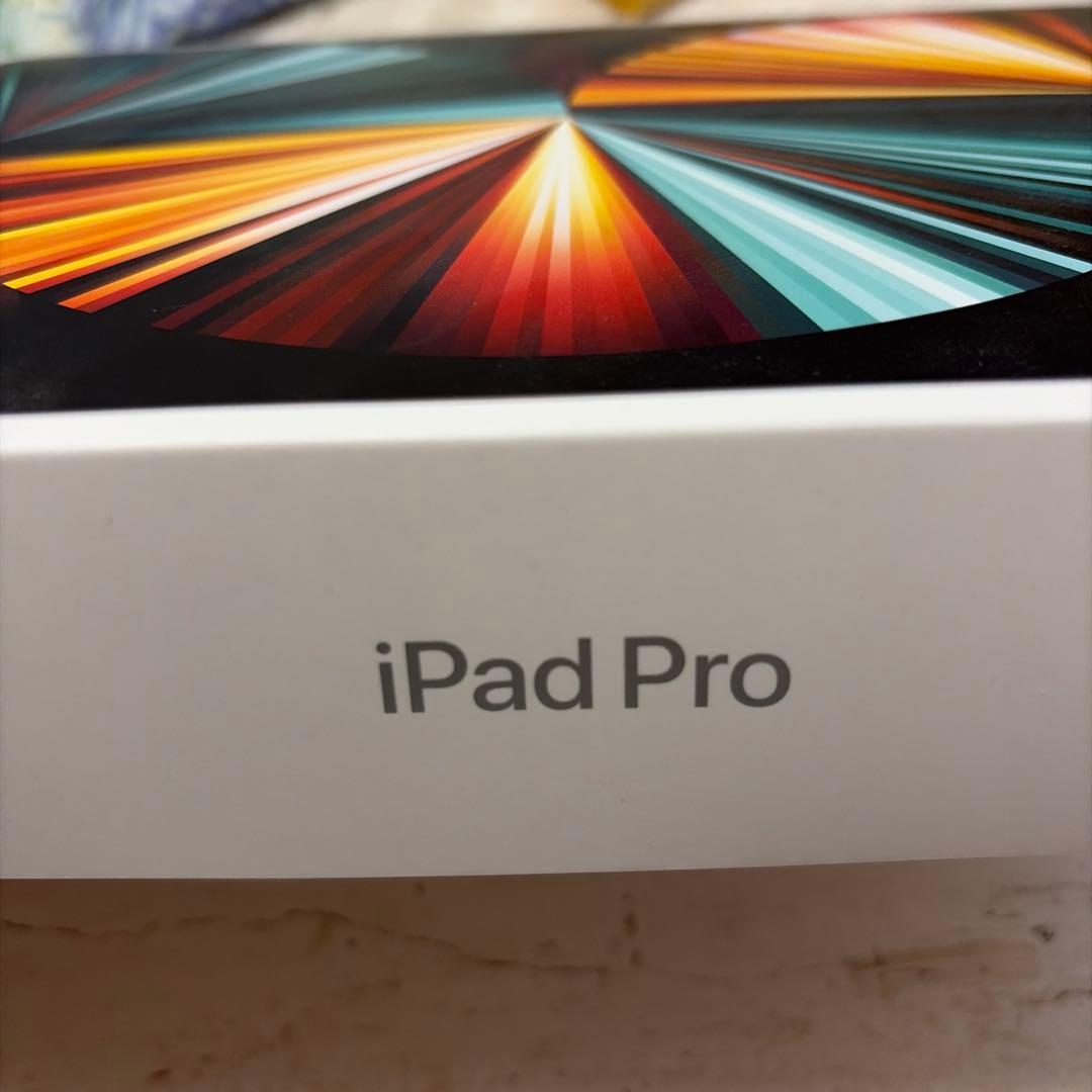 iPad Pro 12.9 M1 256gb 第5世代　美品