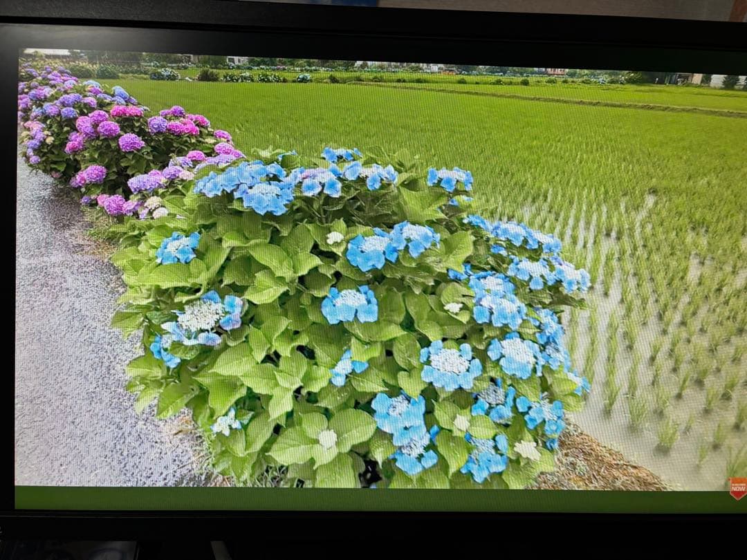 BenQ モニター XL2411P 144hz