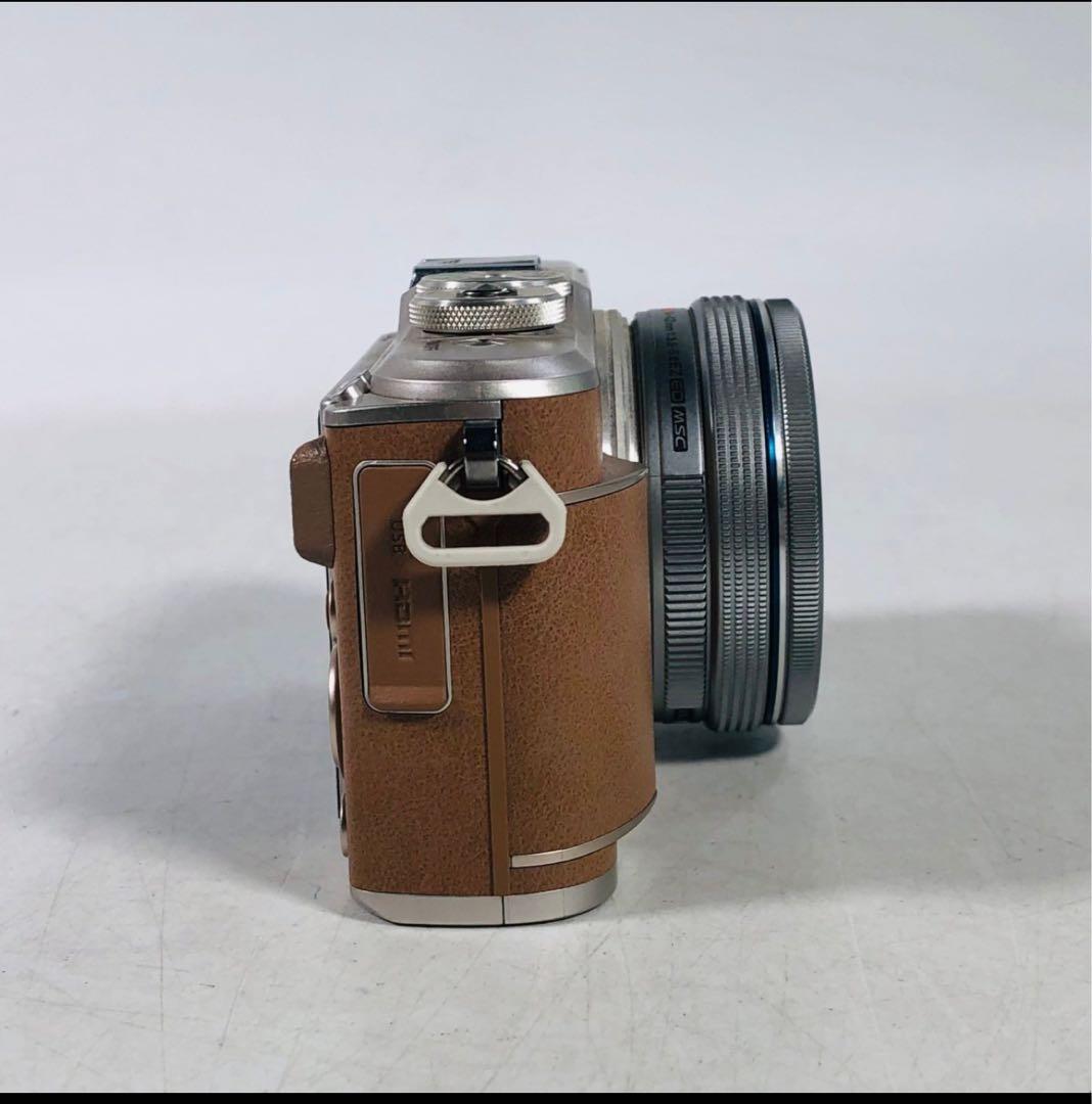 オリンパス OLYMPUS PEN E-PL9 ミラーレス一眼カメラ