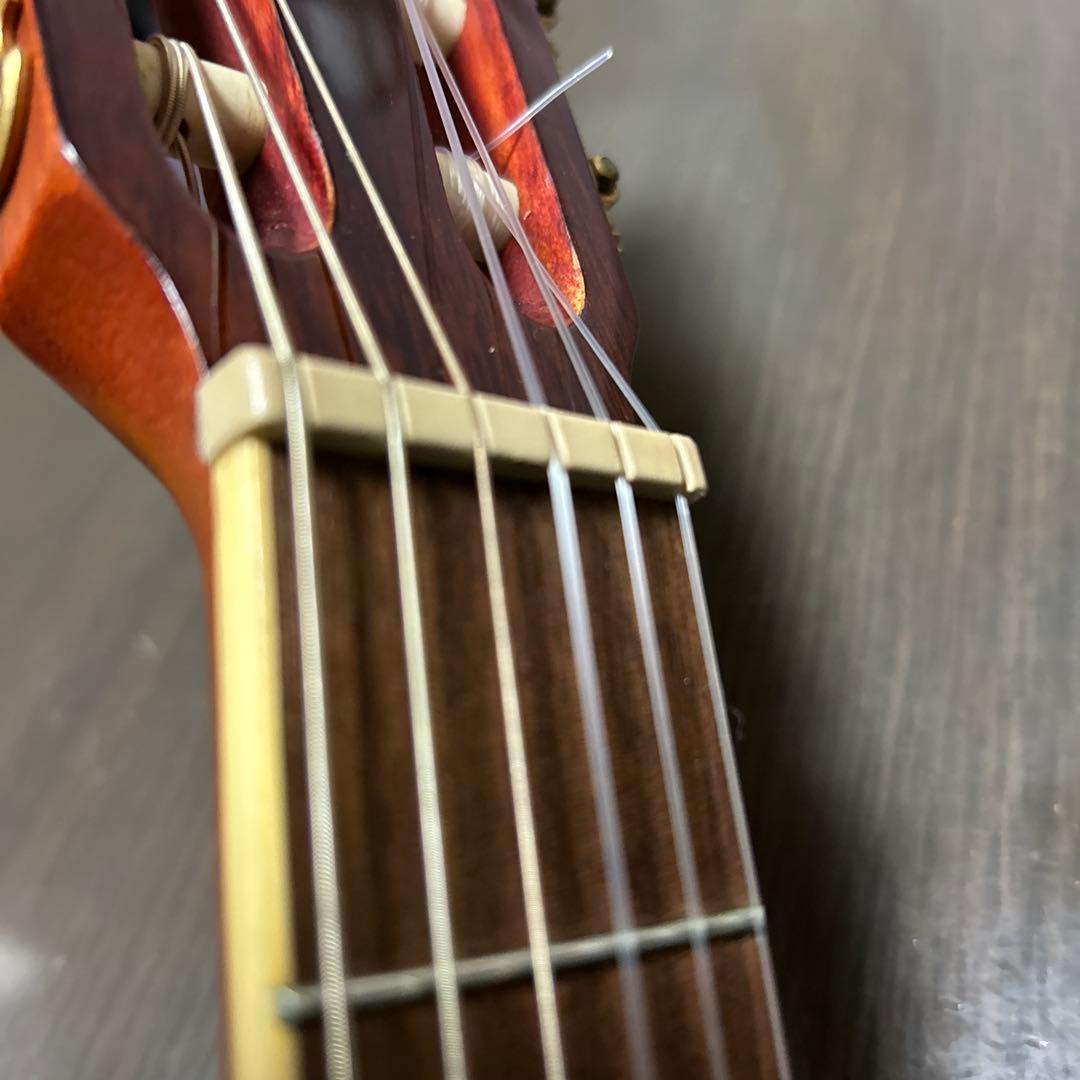 ハードケース付 Ibanez アイバニーズ AEG10NII-TNG エレガット