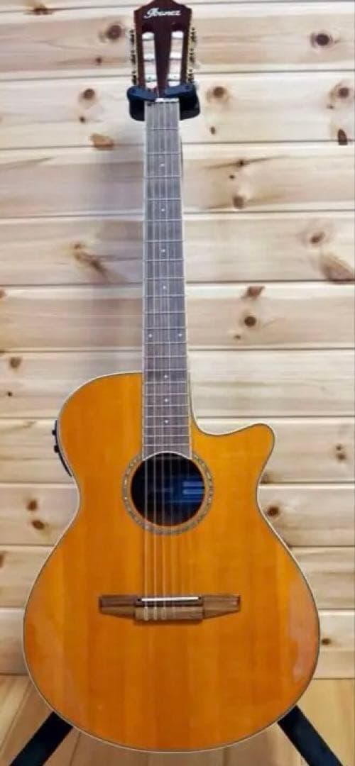 ハードケース付 Ibanez アイバニーズ AEG10NII-TNG エレガット