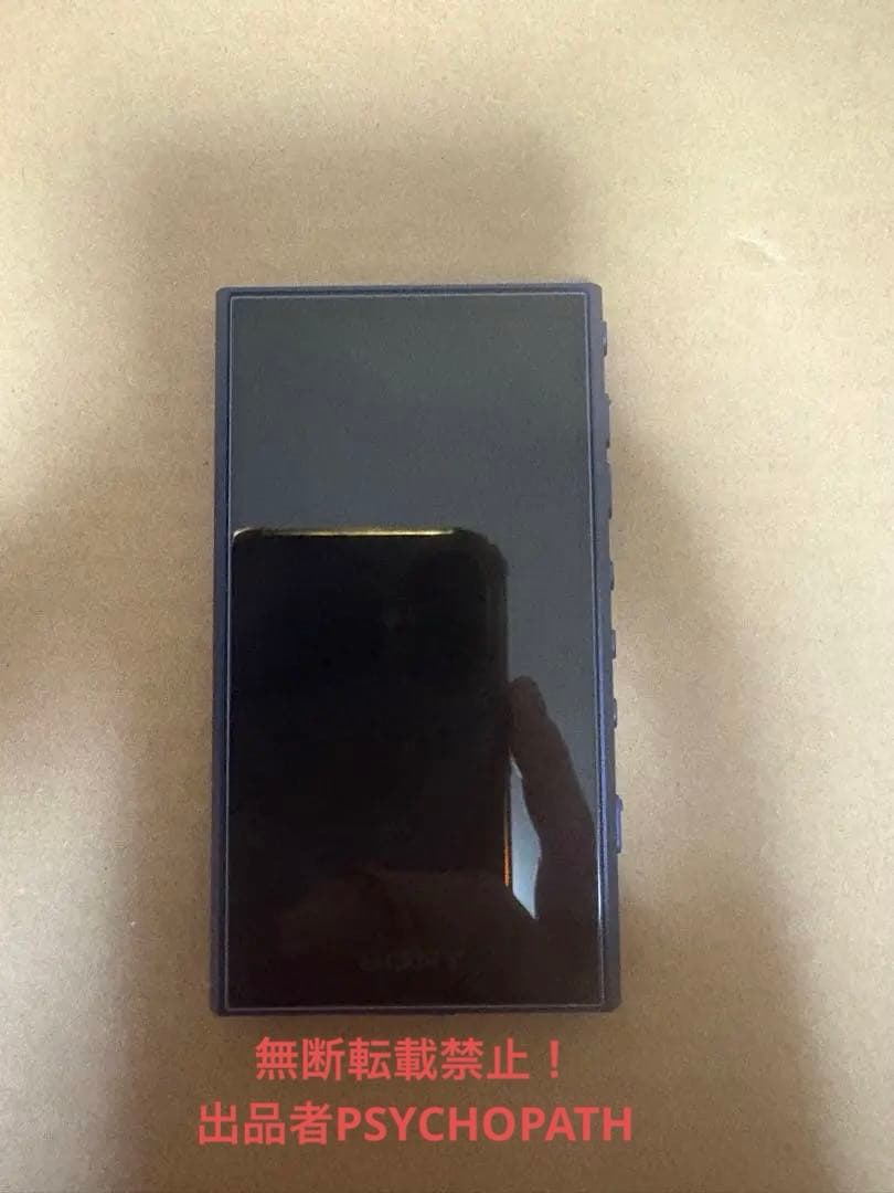 SONY NW-A307 64GB フィルム・SanDisk SD256GB付