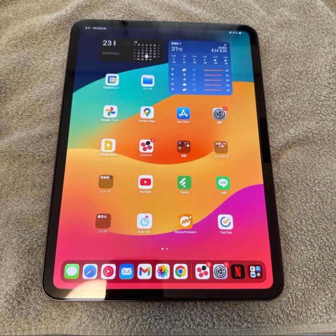 iPad Pro M4 11インチ 256GB スペースブラック 未使用に近い