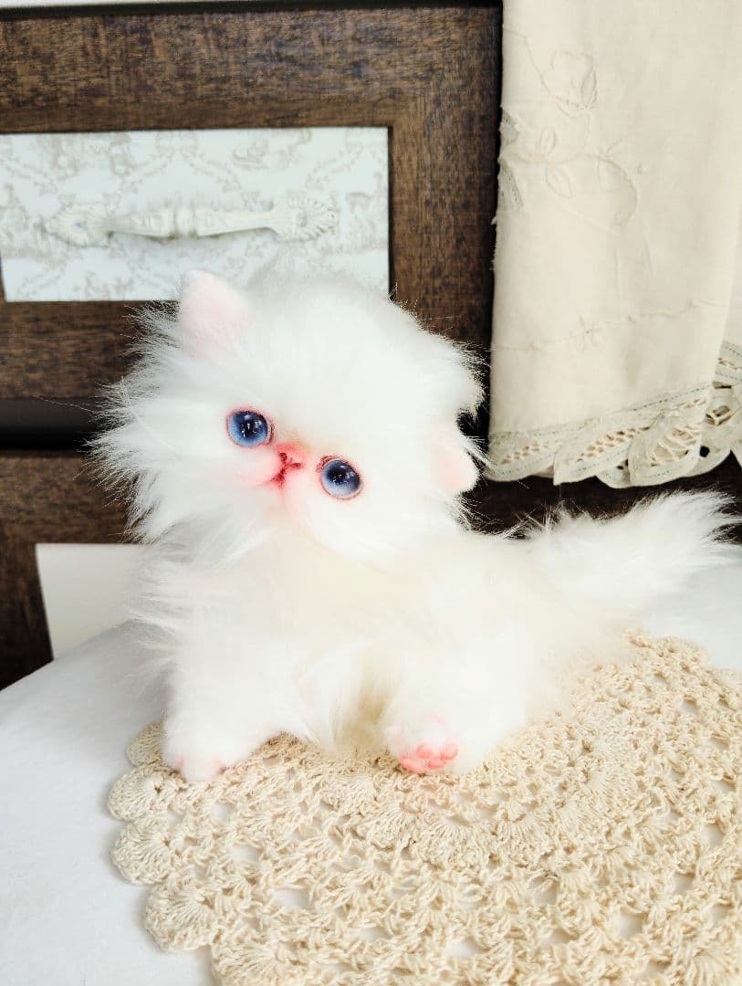 エキゾチックロングヘア♡子猫のミイちゃん♡アートドール♡ぬいぐるみ♡