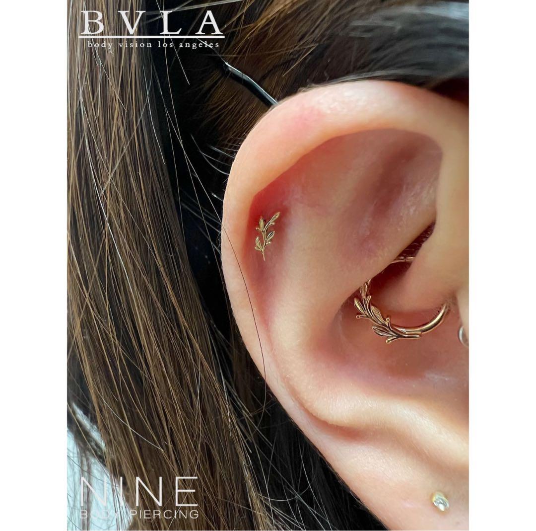 【ゆえ】BVLA Amity アミティ (2セット)