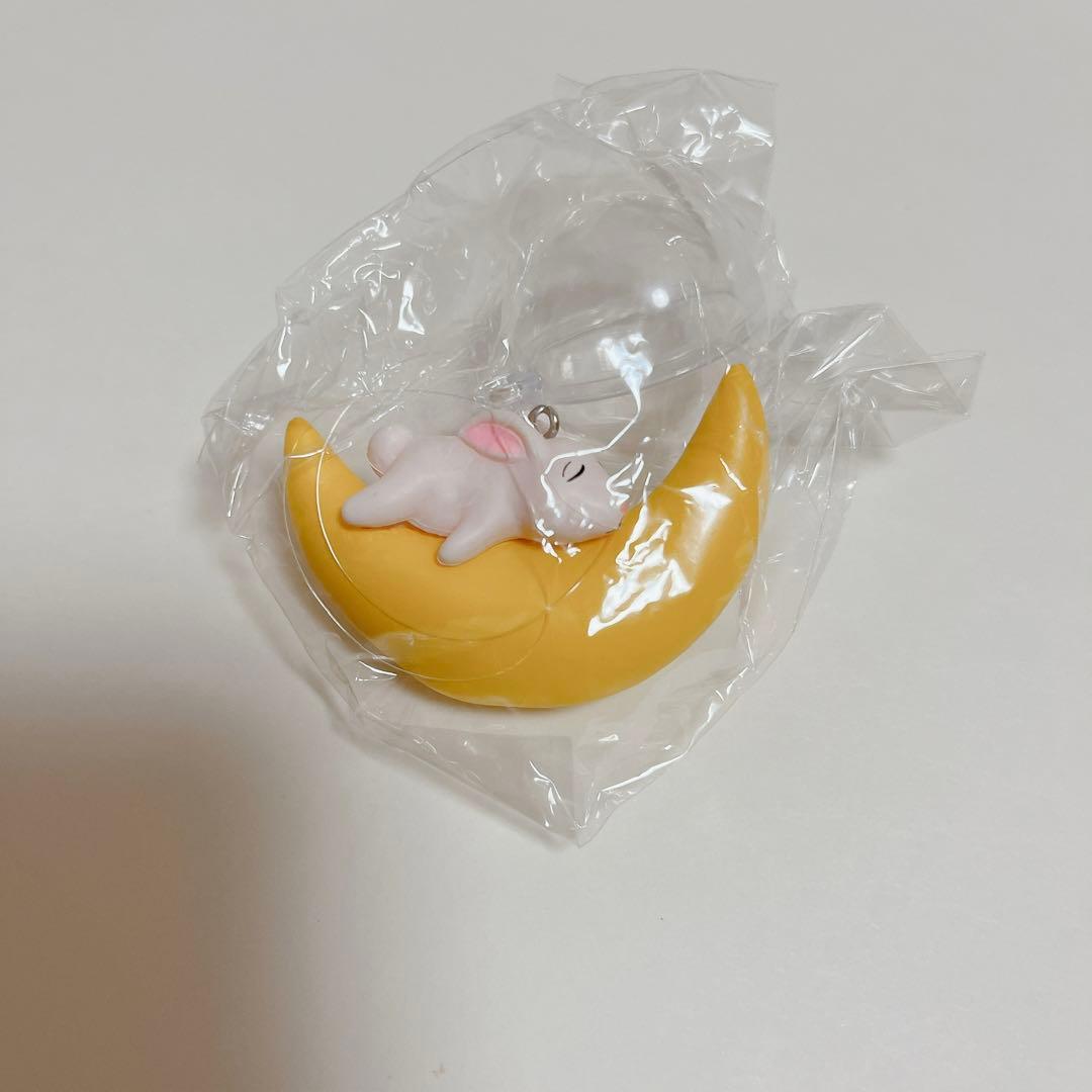 お買い得❤️5個セット　水槽用飾り