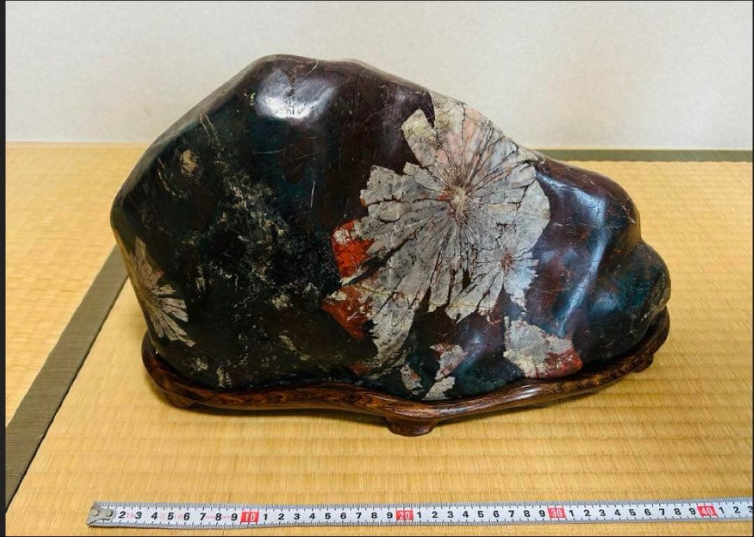 菊花石(岐阜県根尾谷)18.8㌔(台座含む)