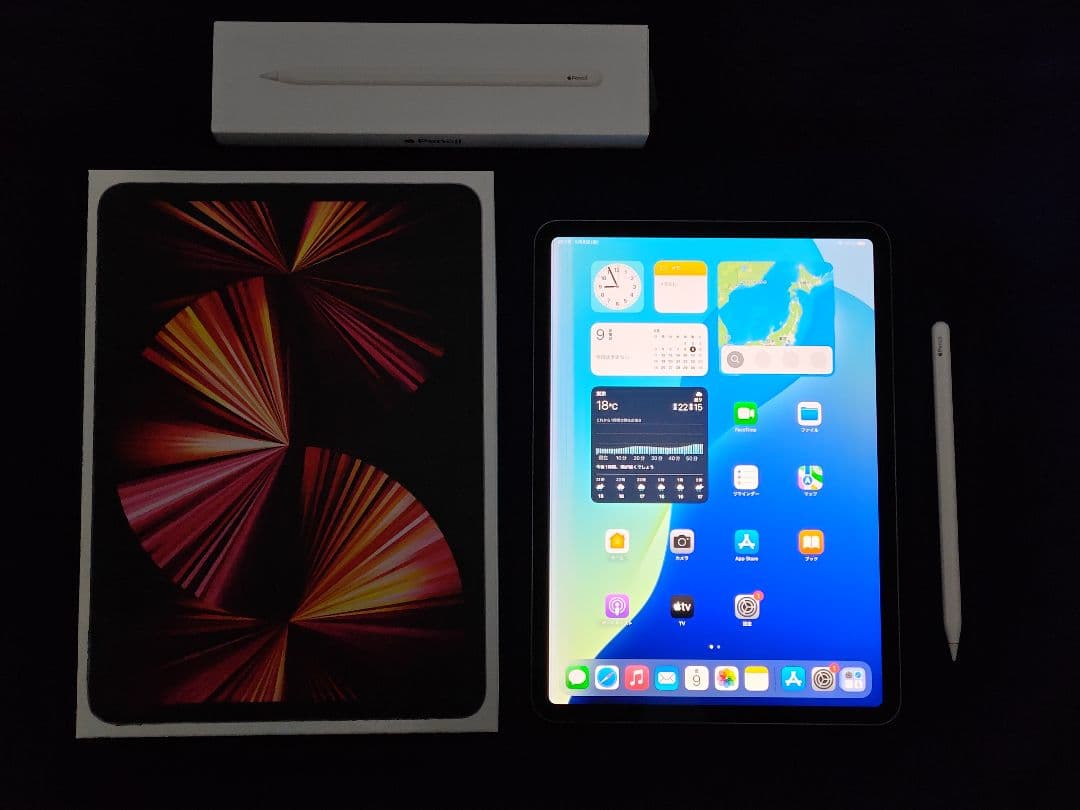 iPad Pro 11 第3世代 256GB WiFiモデル Pencil付