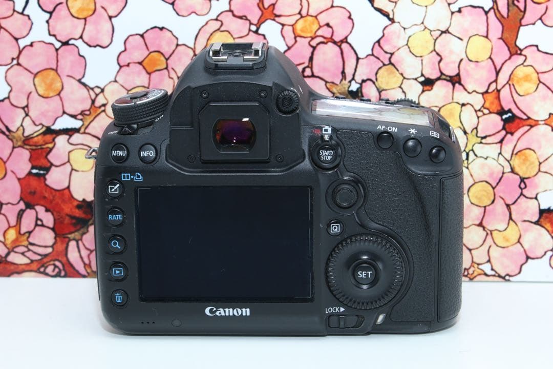 ❤堅牢の5D系列❤キヤノン EOS 5D mark Ⅲ❤️