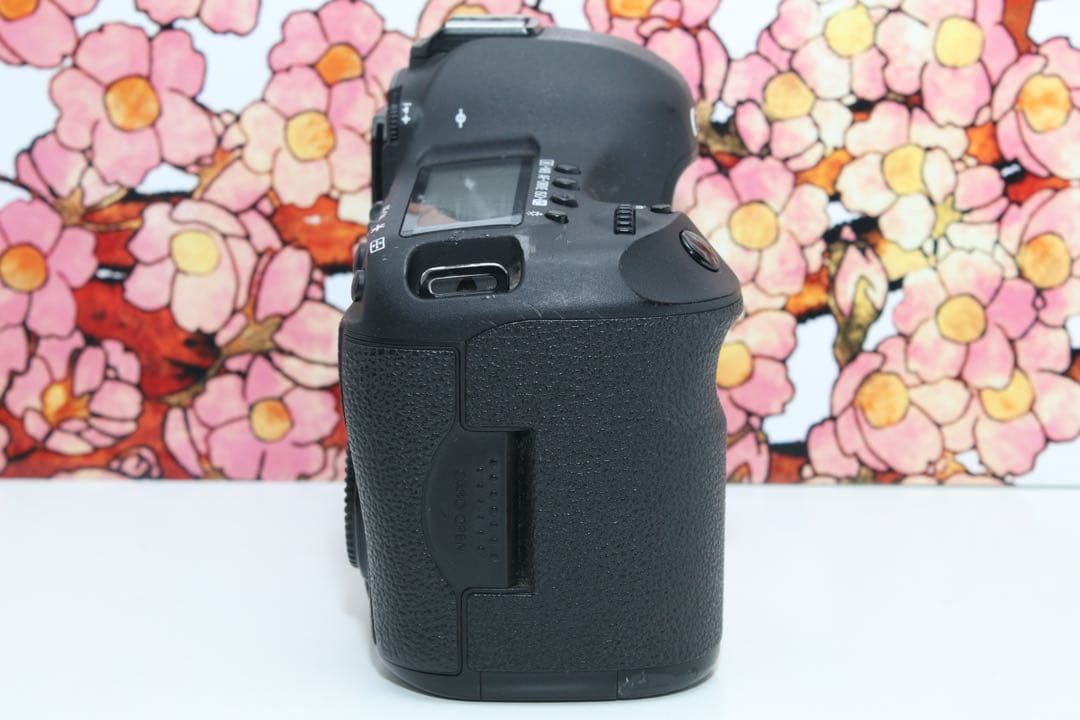 ❤堅牢の5D系列❤キヤノン EOS 5D mark Ⅲ❤️