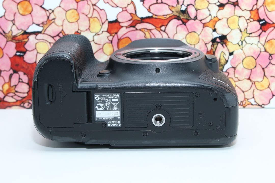 ❤堅牢の5D系列❤キヤノン EOS 5D mark Ⅲ❤️