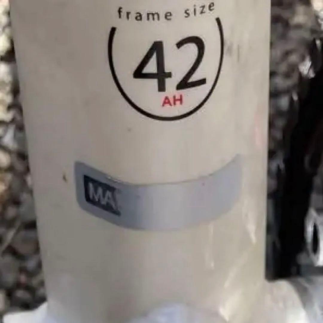 送料上乗せ18500円【サイズ42】ルイガノ LOUIS GARNEAU