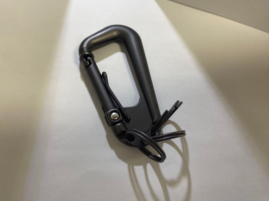 小物 NEIGHBORHOOD CARABINER KEYHOLDER