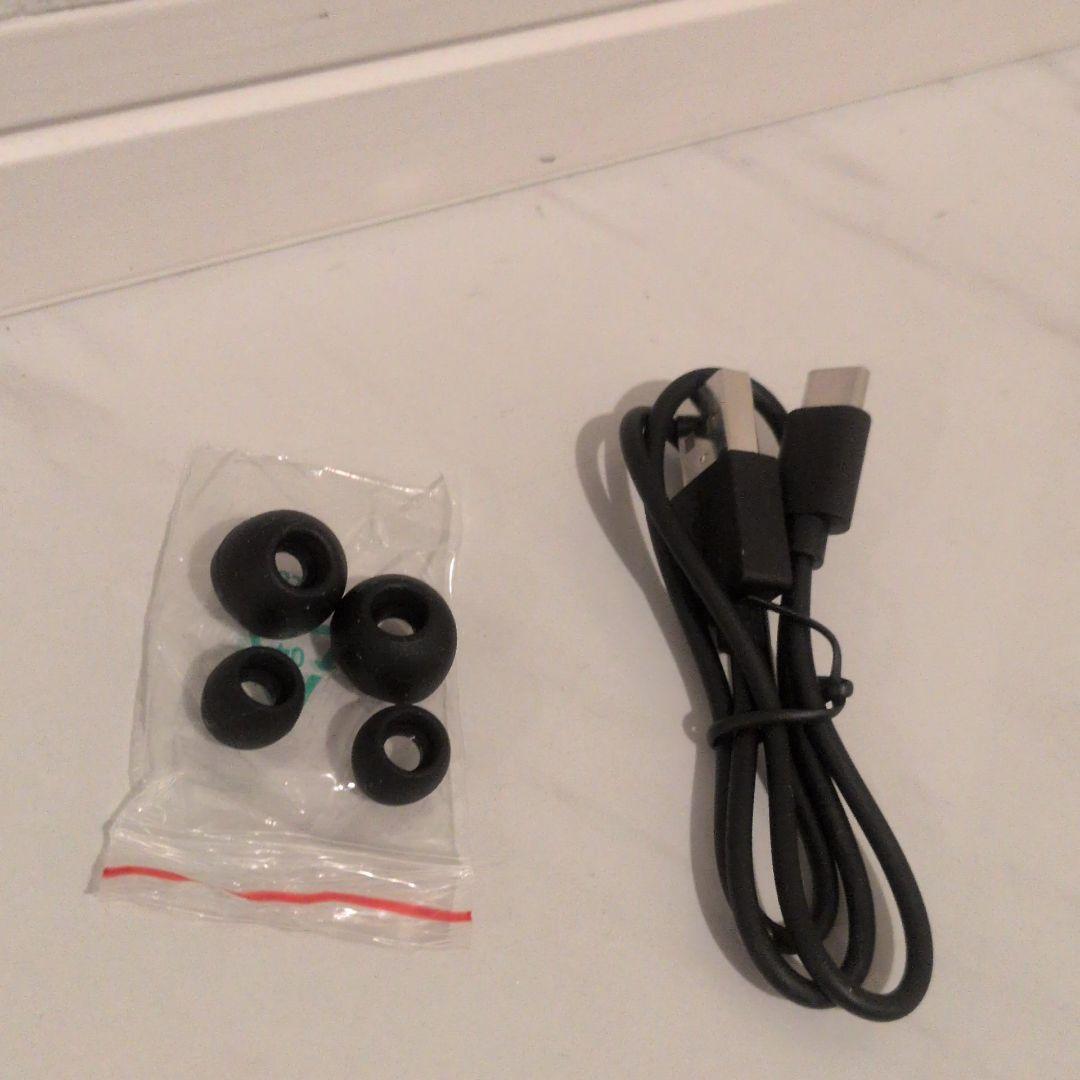 RAISE A SUILEN SE-C8TW ワイヤレスイヤホン　コラボ限定品