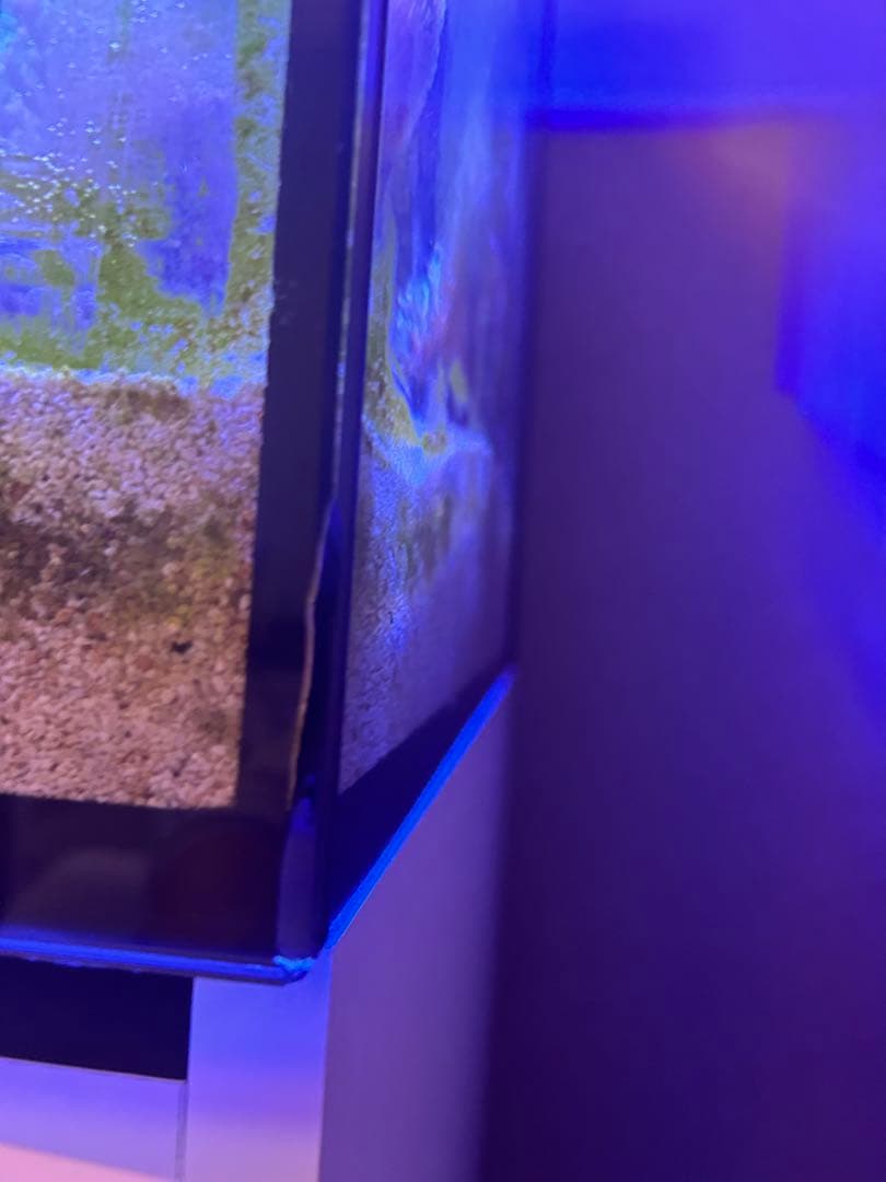 レッドシー マックスE170 / red sea max E 170