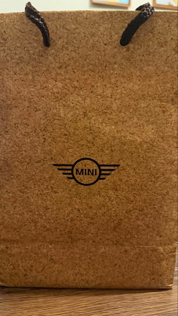 MINI ドライブレコーダー WHSR-581