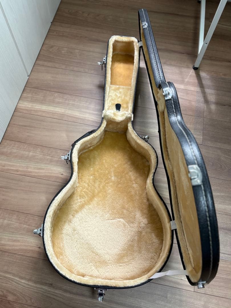 Bugs Gear ９弦エレアコギター　中古品