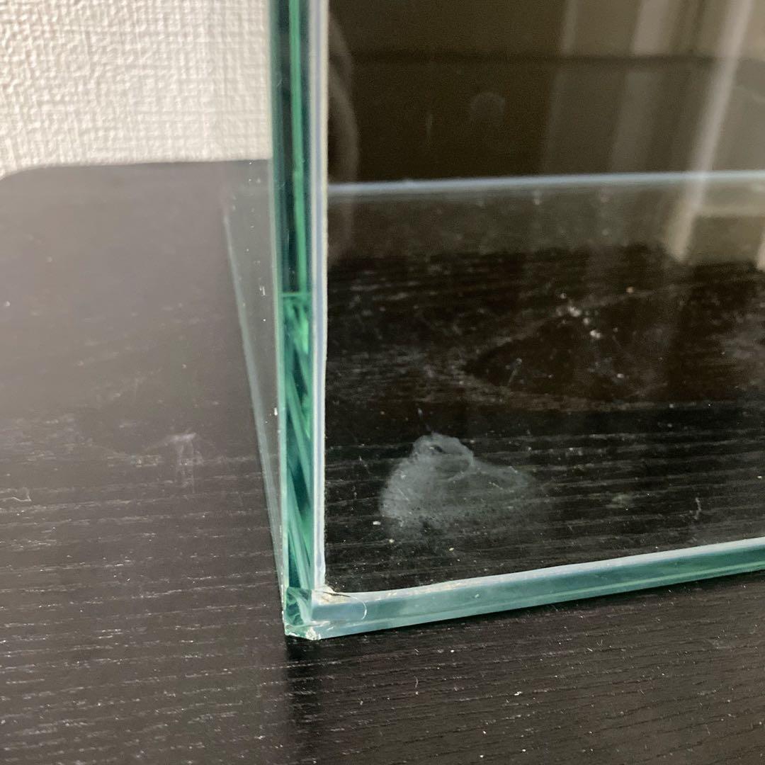 マングローブレイアウト2点付き水槽セット