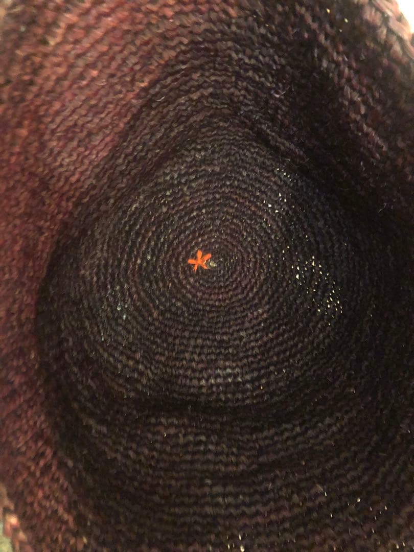 ダニエラグレジス