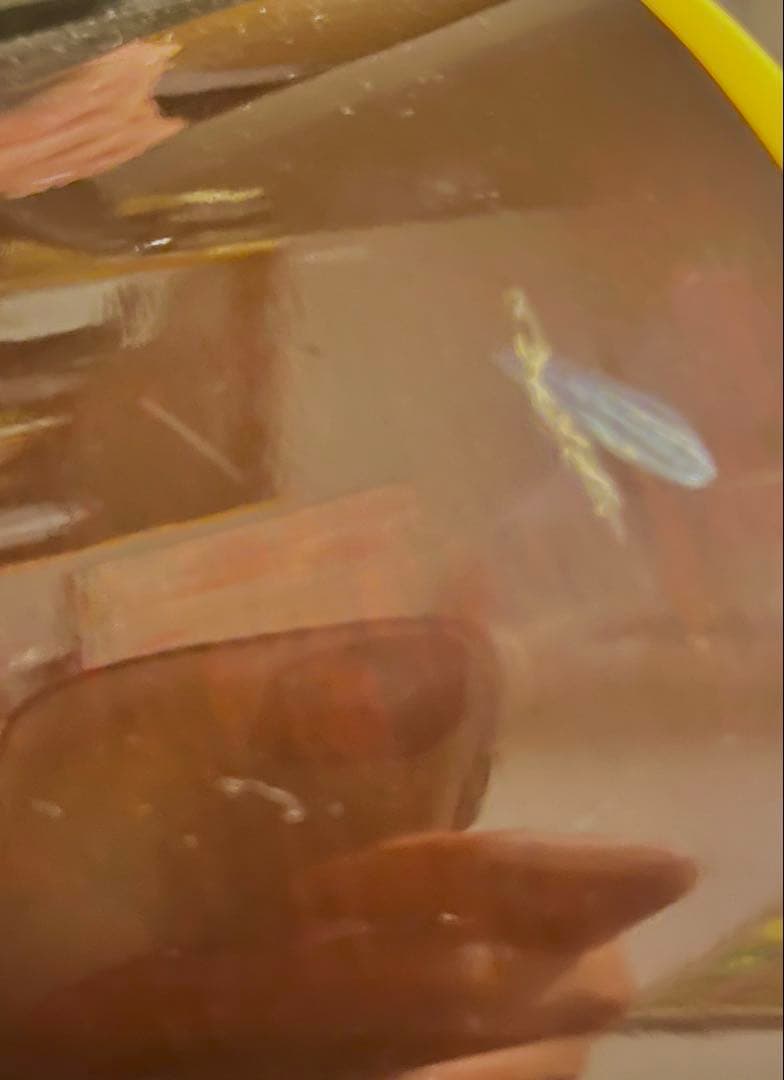 ギター GibsonLG2 Custom pickup vintage sunburst