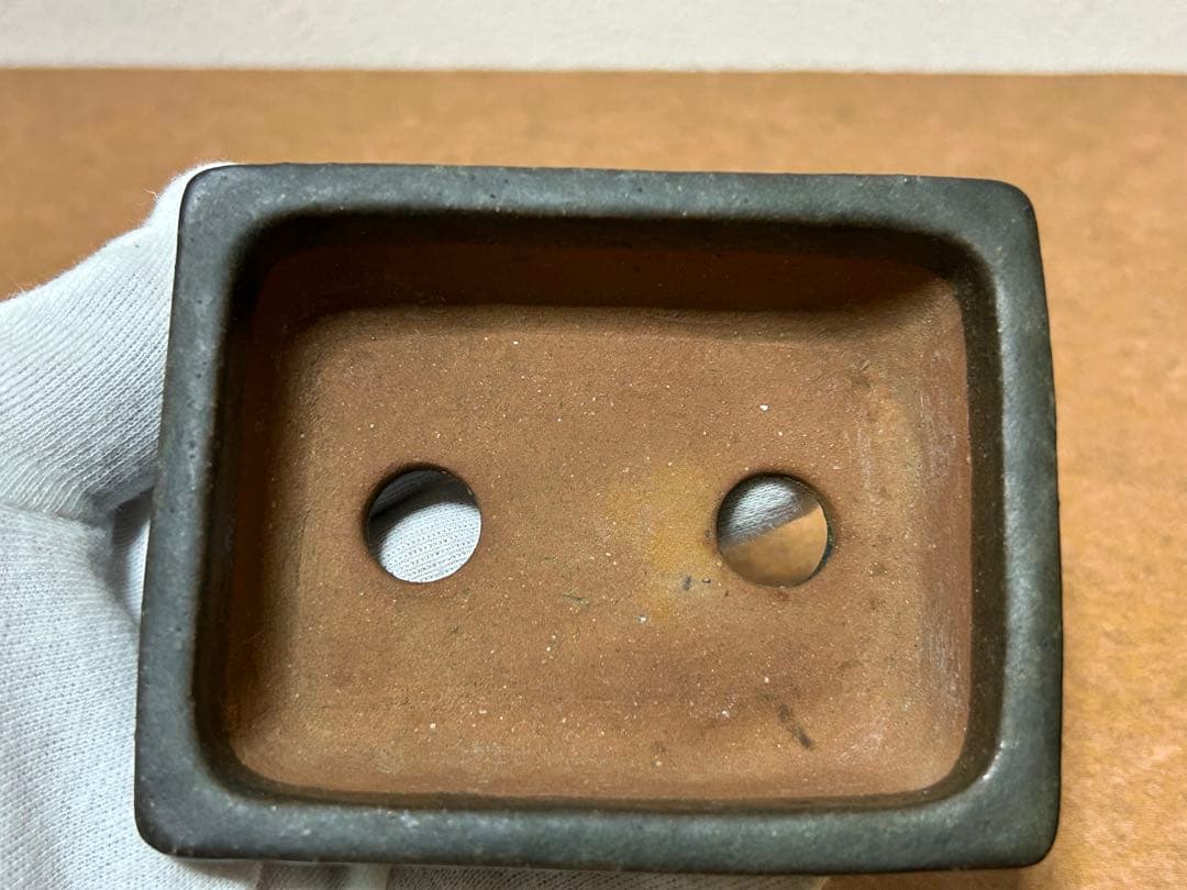 暁雲　盆栽鉢　ミニ盆栽　小品盆栽　山野草