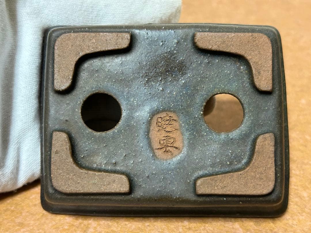 暁雲　盆栽鉢　ミニ盆栽　小品盆栽　山野草