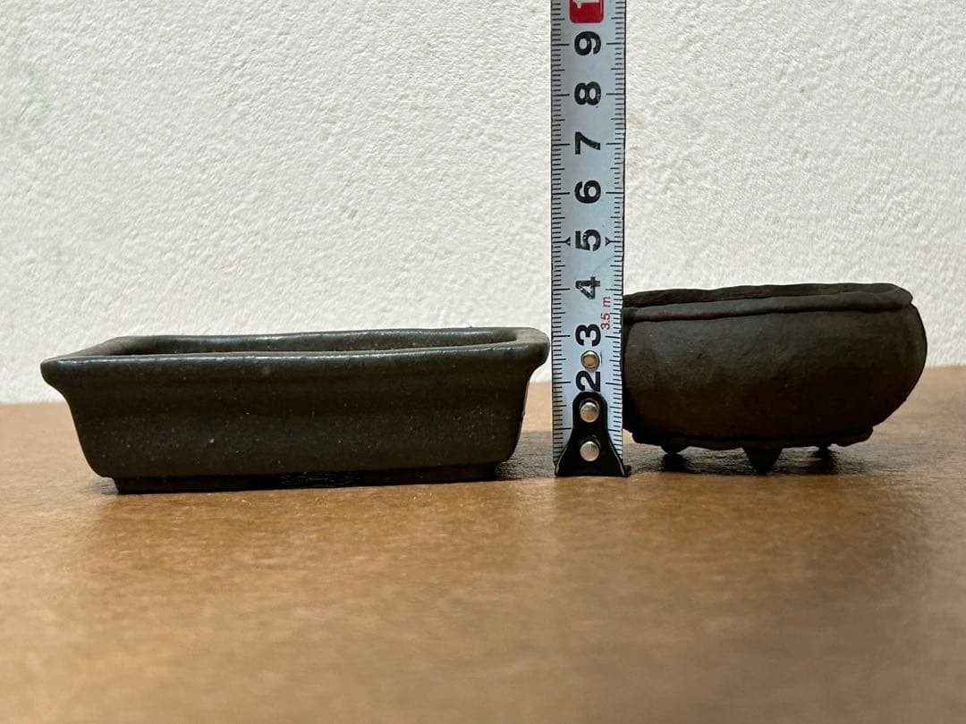 暁雲　盆栽鉢　ミニ盆栽　小品盆栽　山野草