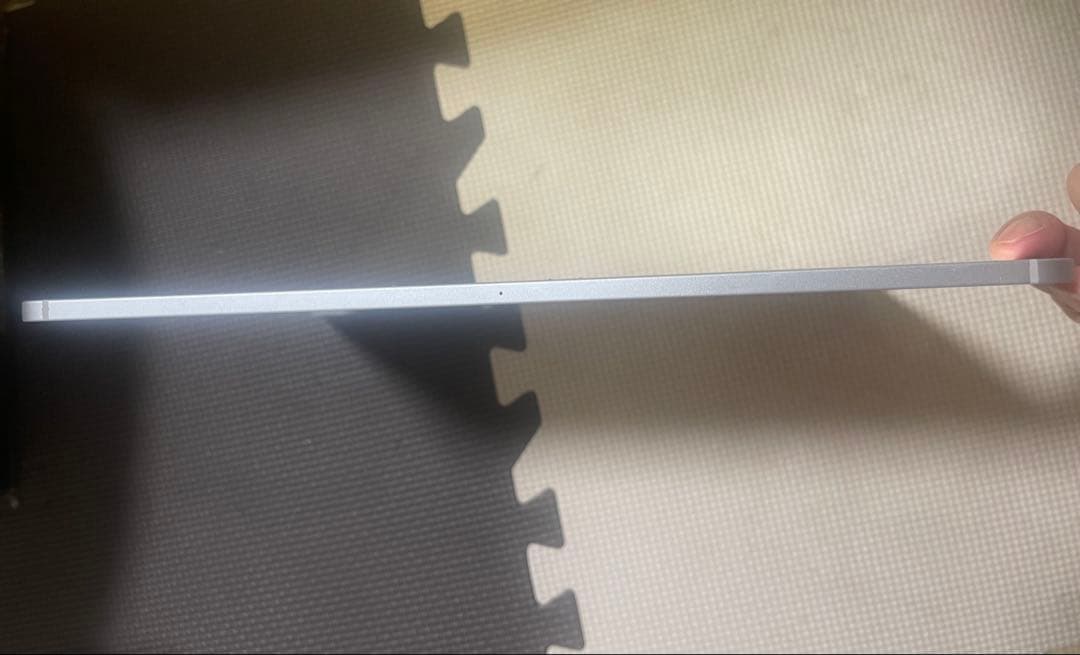 Ipad pro 12.9インチ第４世代512GB