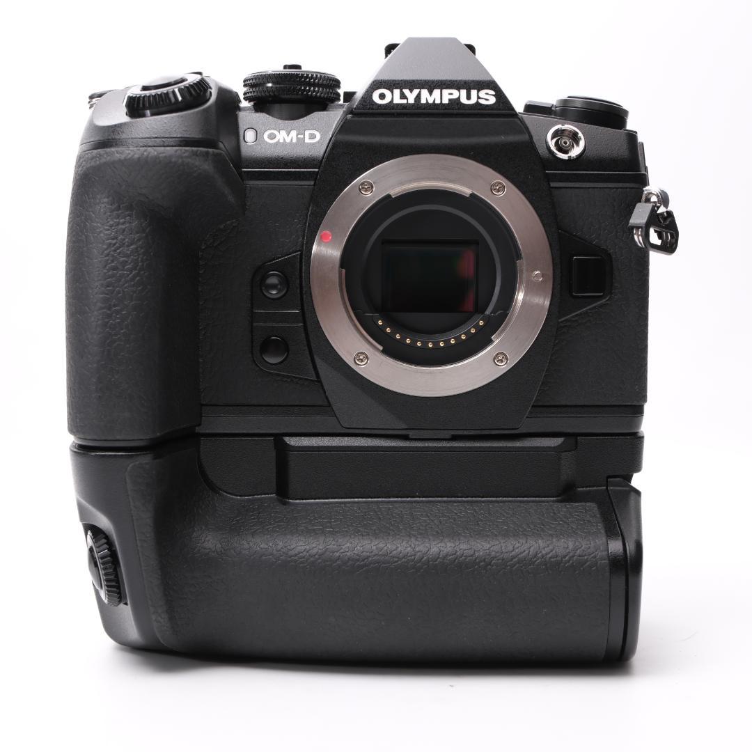 綺麗 OLYMPUS OM-D E-M1 Mark II + HLD-9