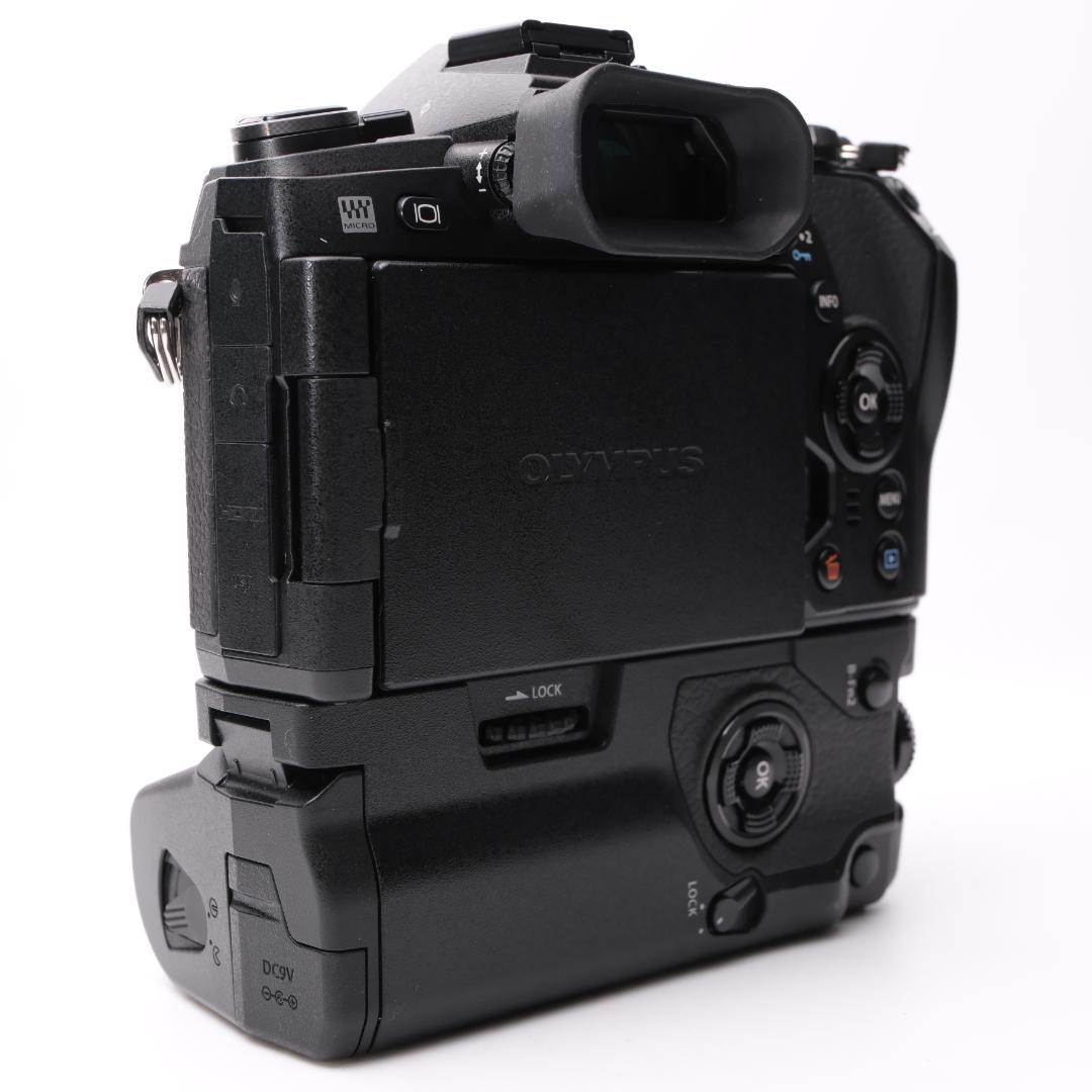 綺麗 OLYMPUS OM-D E-M1 Mark II + HLD-9