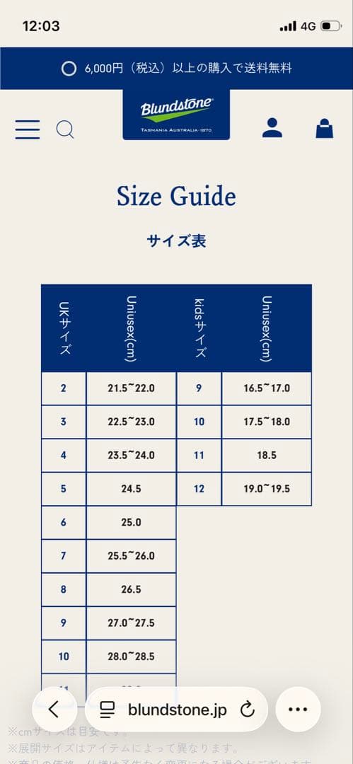 Blundstone サイドゴアブーツ