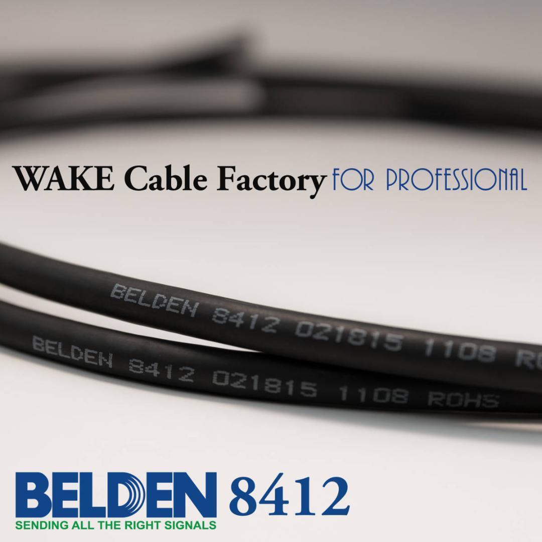 定番！BELDEN8412★RCAケーブル3mステレオペア