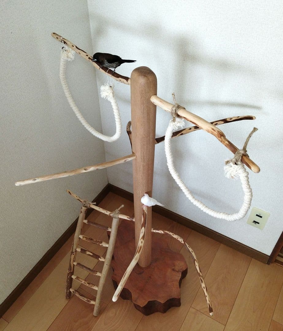 【中型鳥さん用】螺旋状♬バードアスレチック