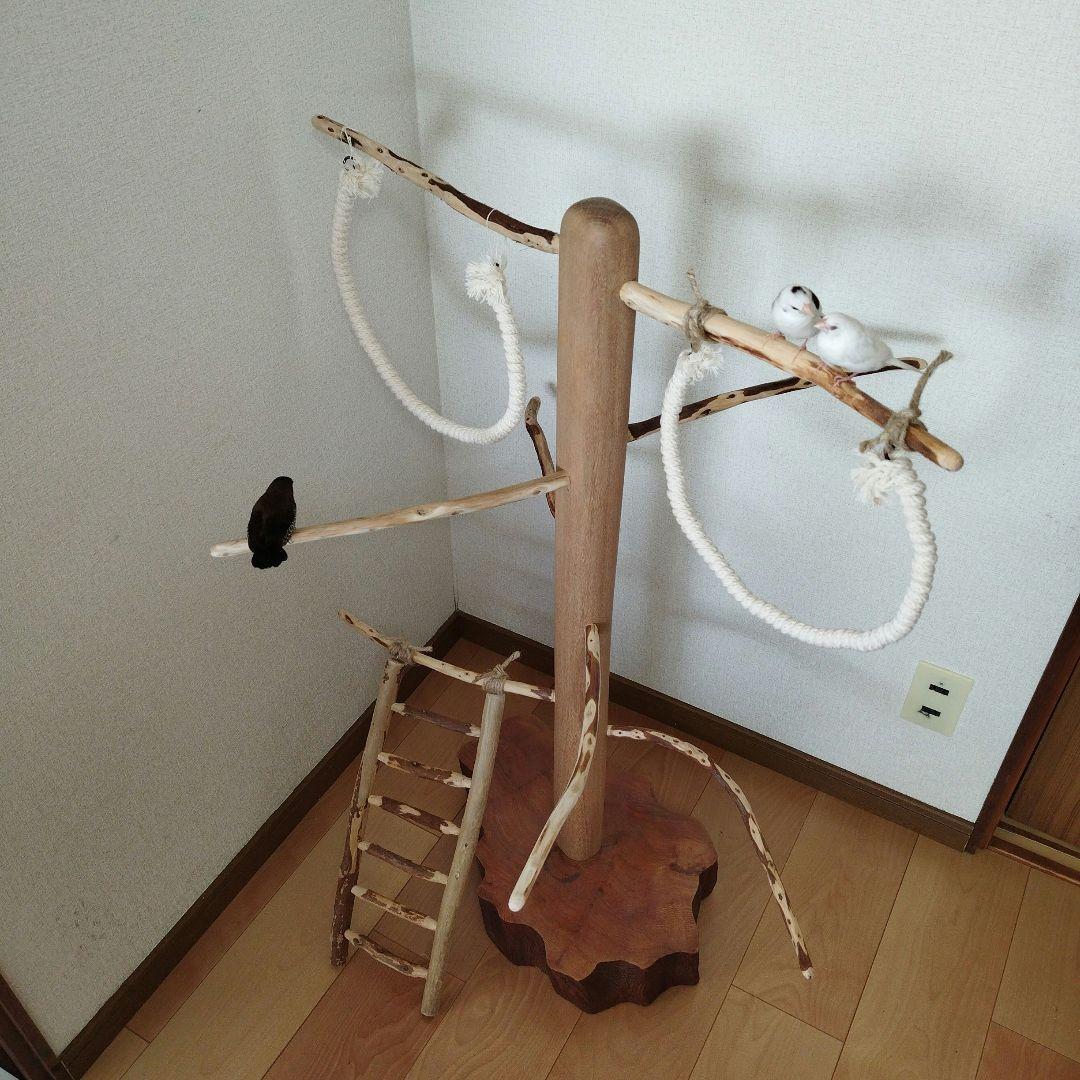 【中型鳥さん用】螺旋状♬バードアスレチック