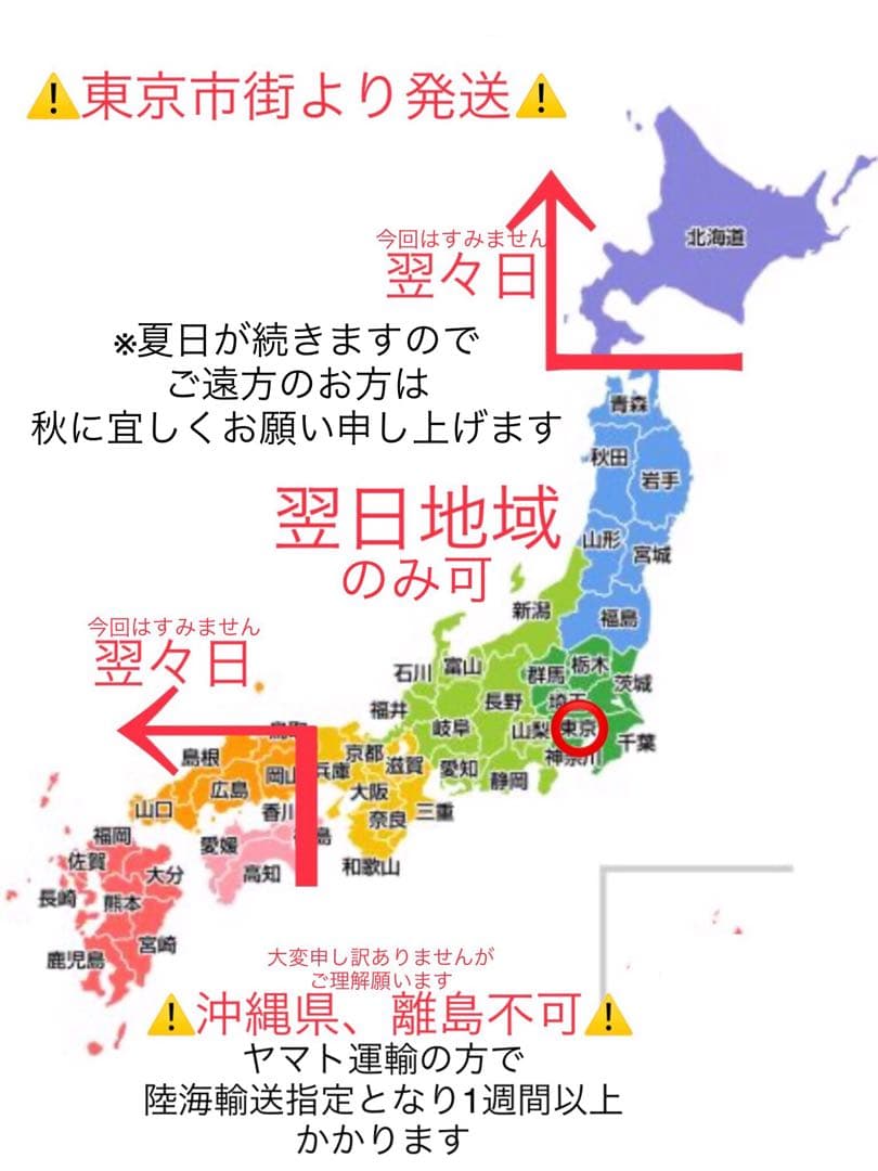 天然＊野生【全て今春の新芽＊お花沢山/カンアオイ＊寒葵】瑞々しく勢い炸裂！