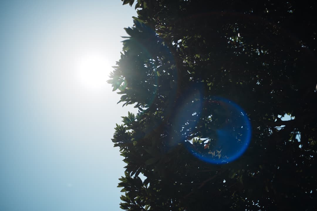 【極美品】ニコン Ai-s Micro-Nikkor 55mm F2.8 721