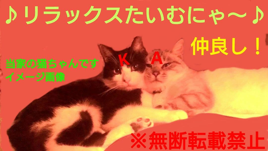 スマック、マタタビ480包　　　　　　　　　　　(定価の半額以下／年内削除)