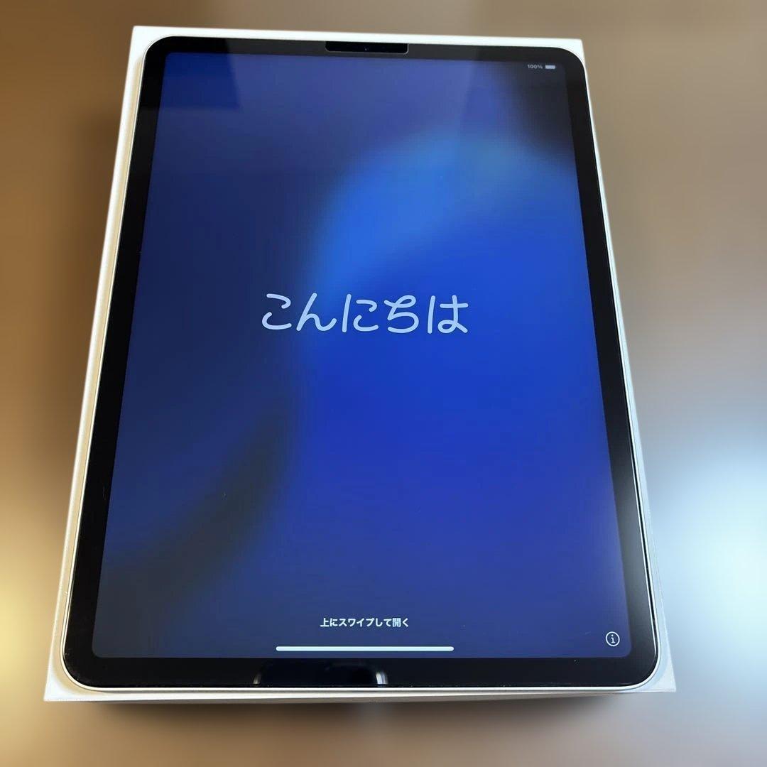 iPad Pro 11インチ 第1世代 256ギガ Wi-Fiモデル シルバー
