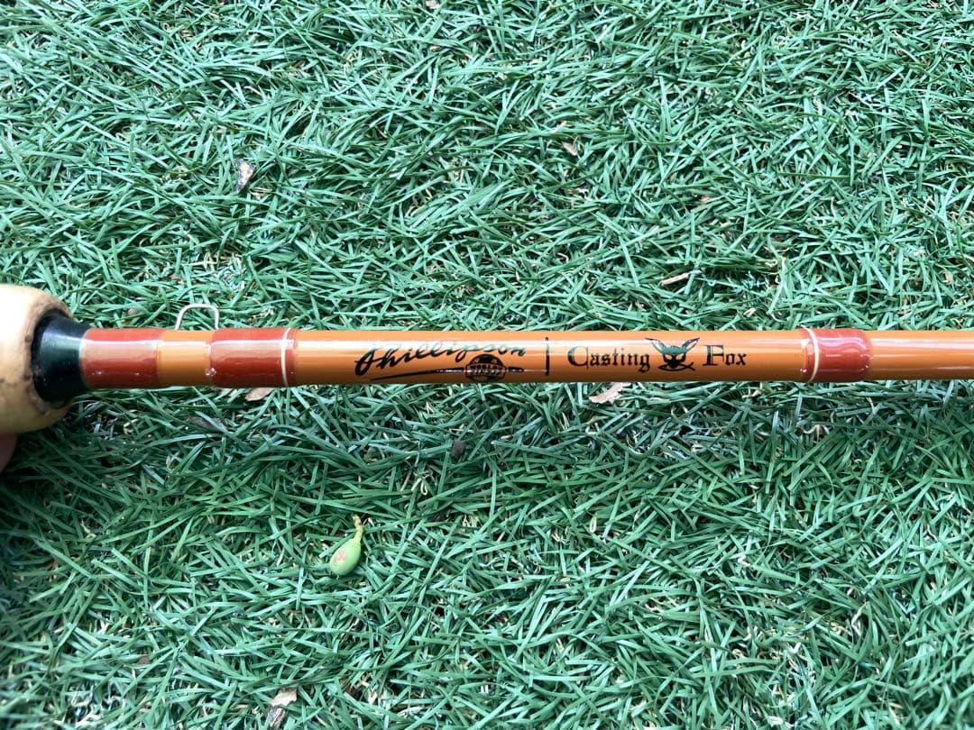 SAURUS フィリプソン　FC66