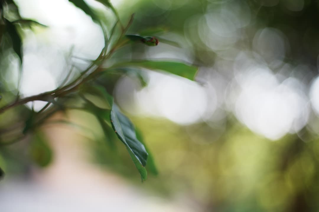 【極美品】Carl Zeiss Planar 50mm F1.4 MMJ 157