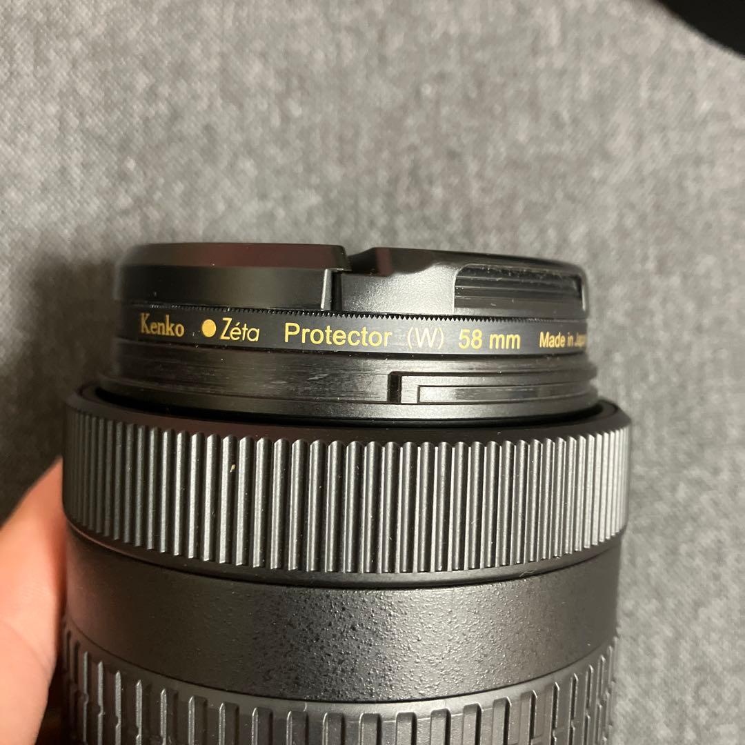 望遠レンズ・Nikon AF-P DX NIKKOR 70-300mm VR